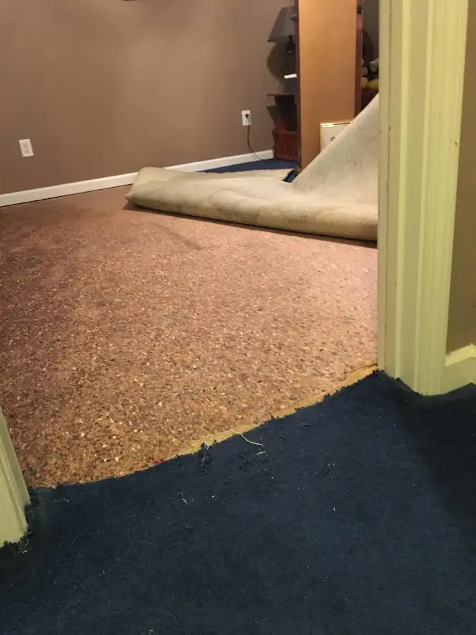 Carpet pad removal revealing water damage during Drying & Dehumidification in Manville